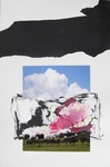 Zachte val 2010, collagen auf papier, 102 * 66,5 cm